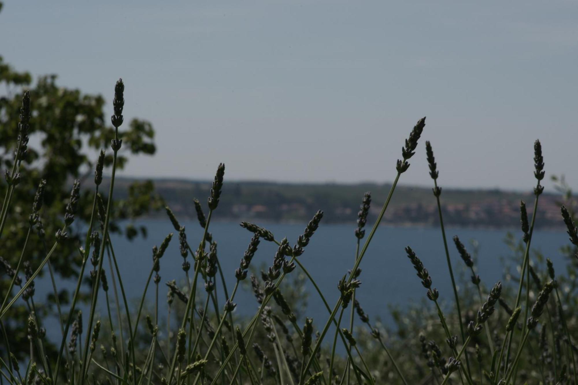 Apartments Hafner Portoroz Luaran gambar